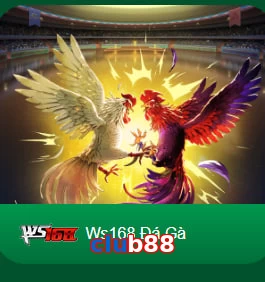 club88
